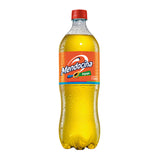 gaseosa-de-papaya-mendocina-de-1000-ml
