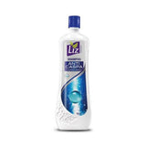 shampoo-anti-caspa-liz-de-900-ml