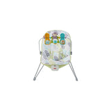 Silla de Vibraciones Relajantes Fisher Price